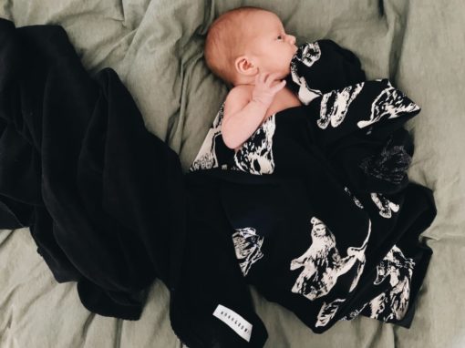 Noah & Bowie – ORGANIC BEARS WRAP NAVY