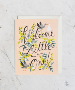 Rifle Paper Co Greeting Cards – Welcome Little One